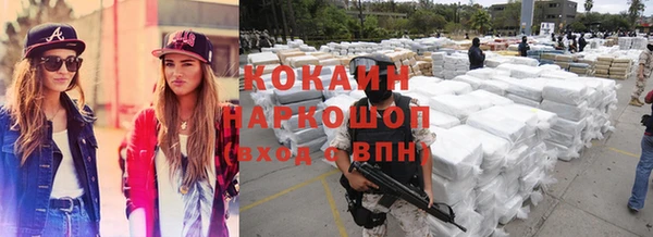 ПСИЛОЦИБИНОВЫЕ ГРИБЫ Кедровый